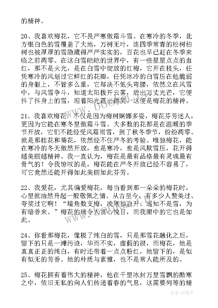 最新梅花的励志句子有哪些 梅花的句子励志(优秀7篇)