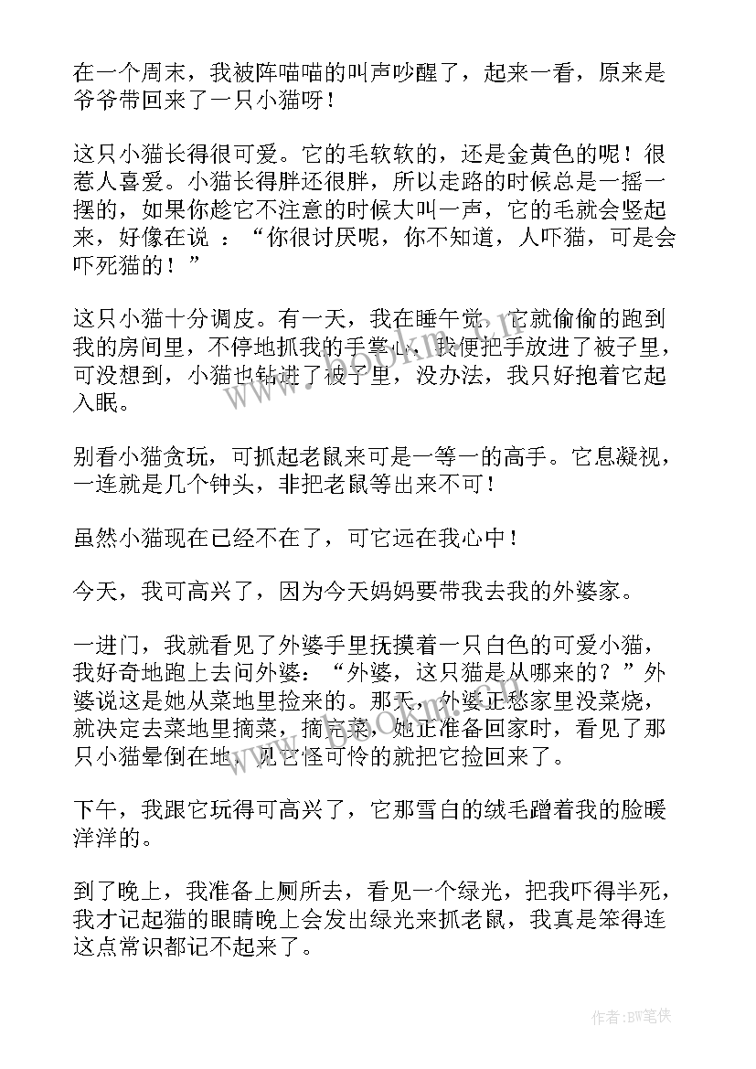 我喜欢做的事 我喜欢小猫日记(汇总16篇)