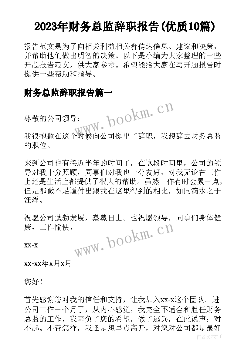 2023年财务总监辞职报告(优质10篇)