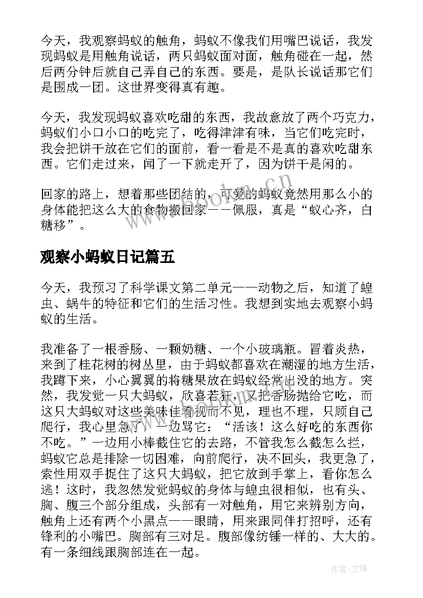 观察小蚂蚁日记 观察蚂蚁日记(优秀8篇)