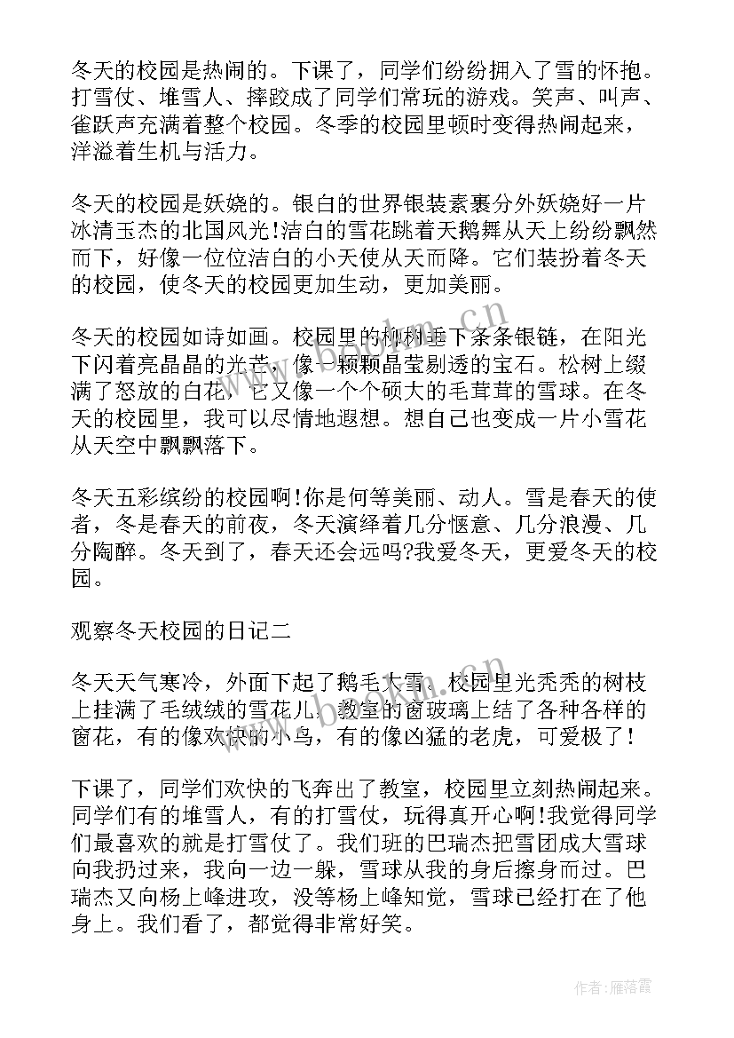 2023年观察冬天的雨日记 观察北方的冬天日记(优质8篇)