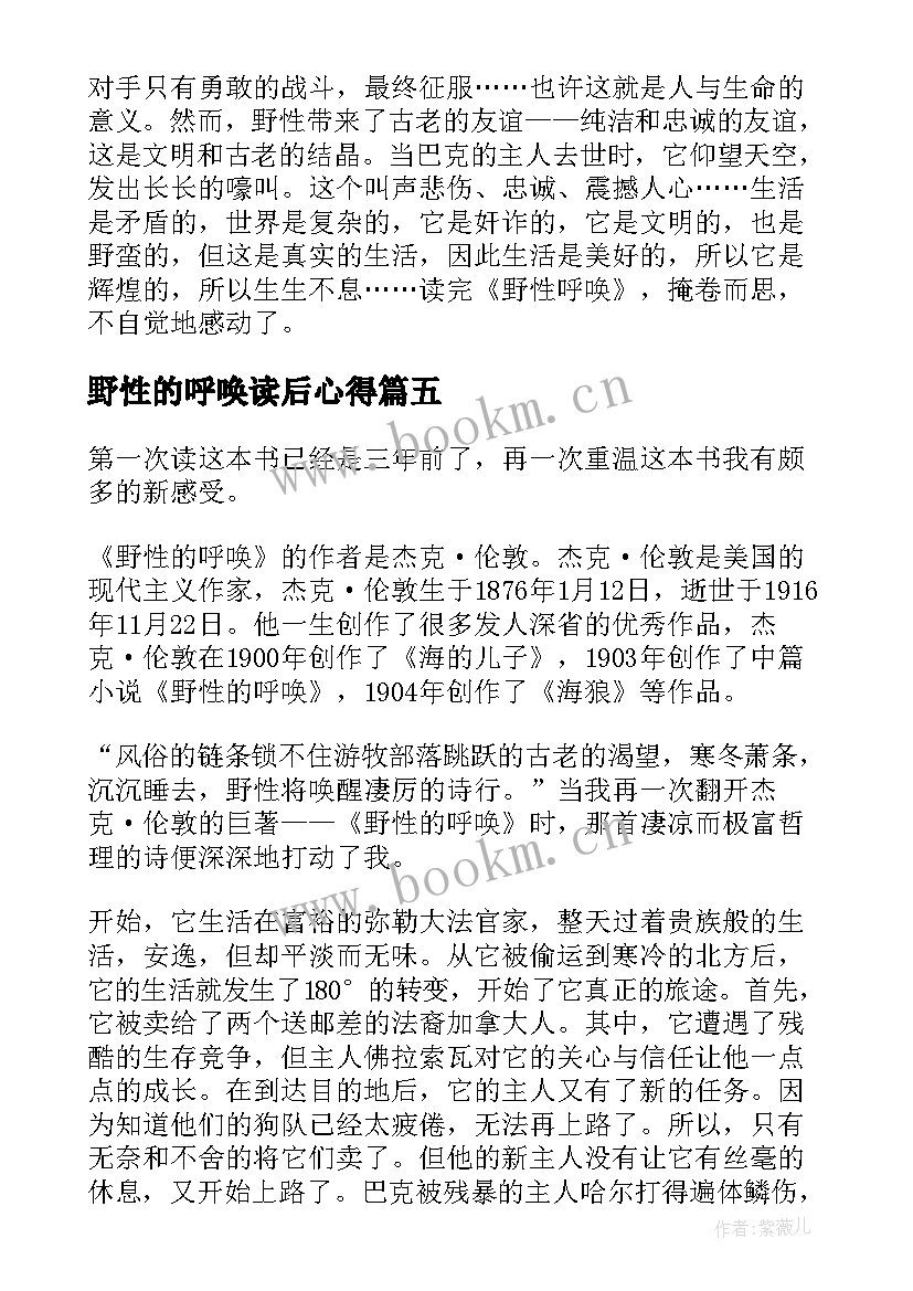 2023年野性的呼唤读后心得(实用14篇)