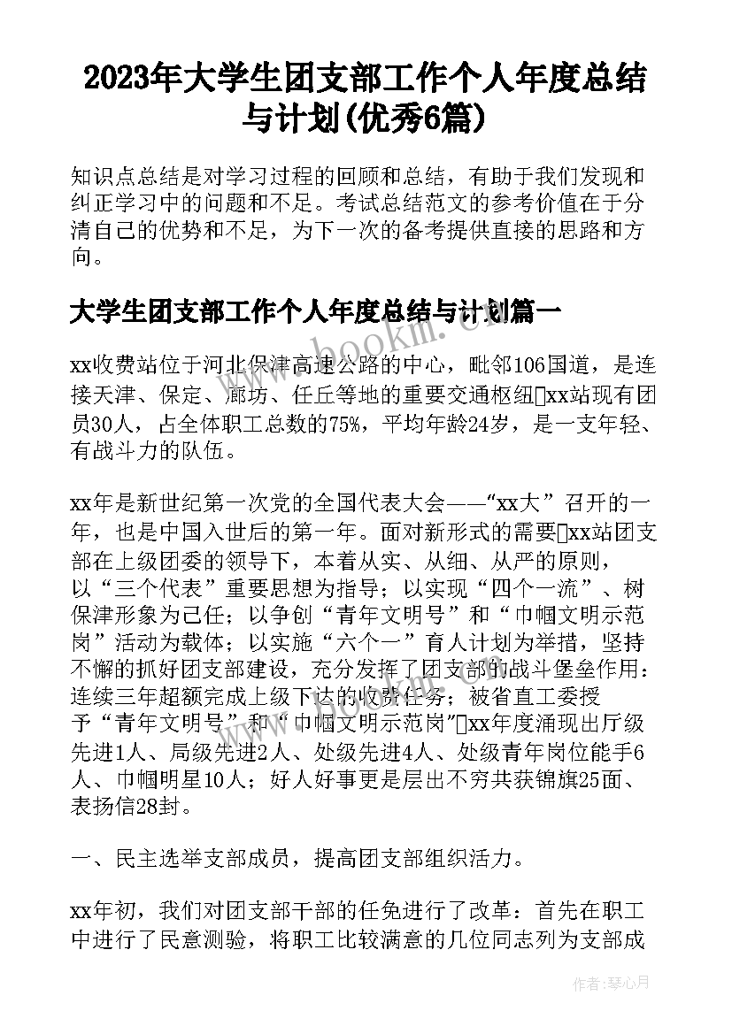 2023年大学生团支部工作个人年度总结与计划(优秀6篇)