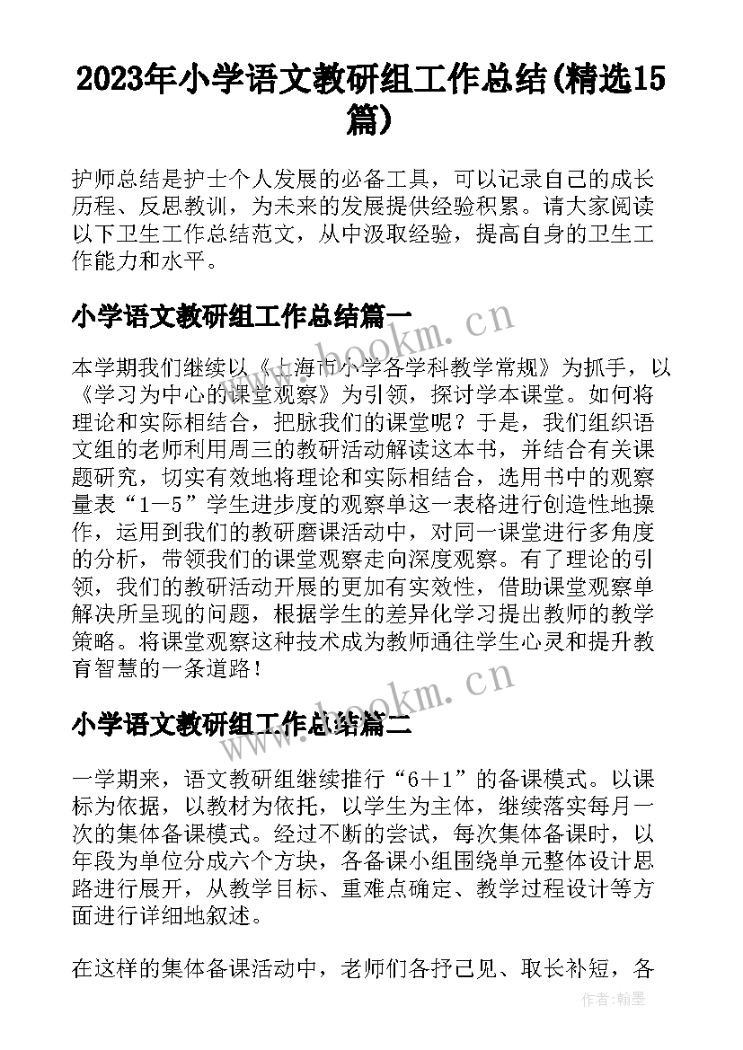 2023年小学语文教研组工作总结(精选15篇)