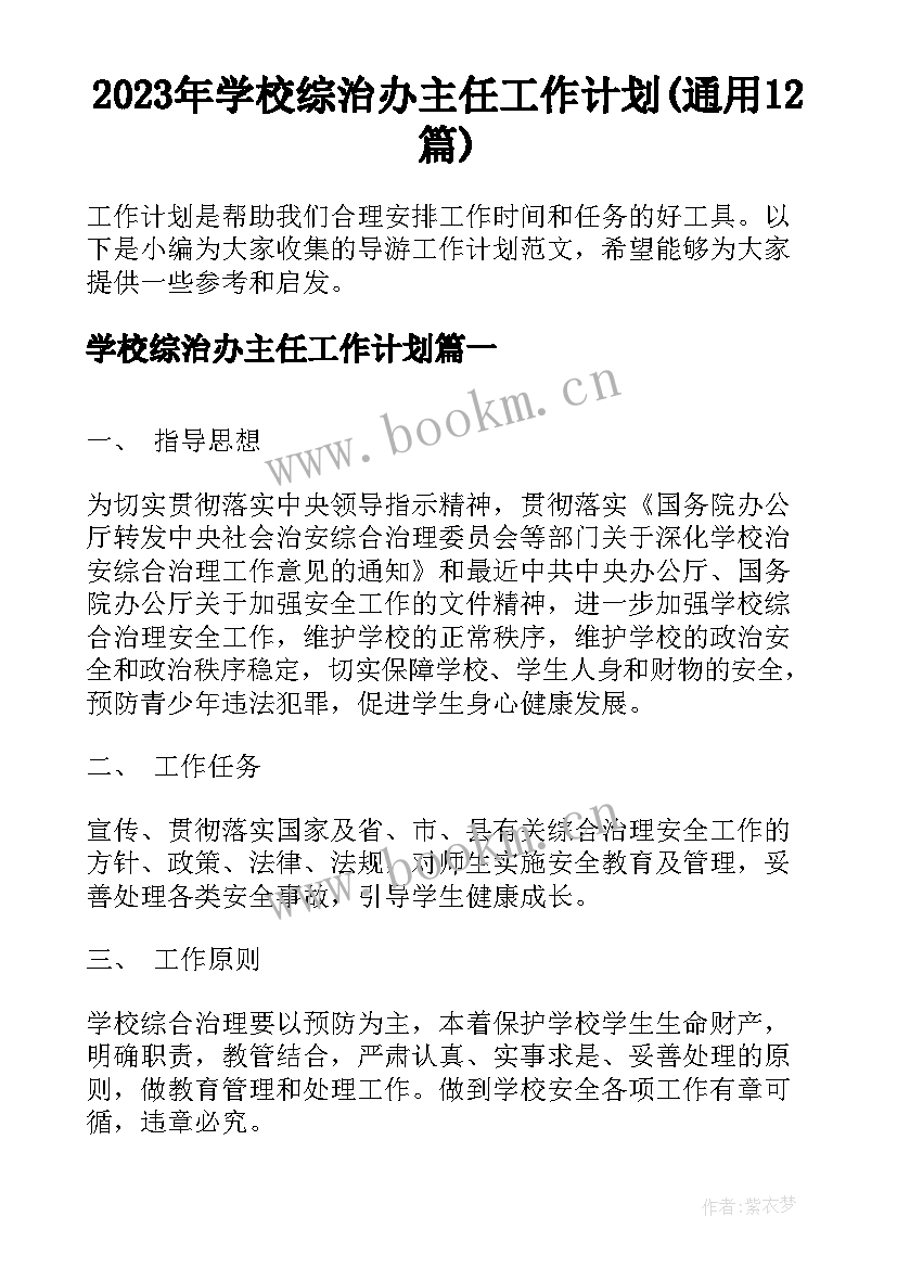 2023年学校综治办主任工作计划(通用12篇)