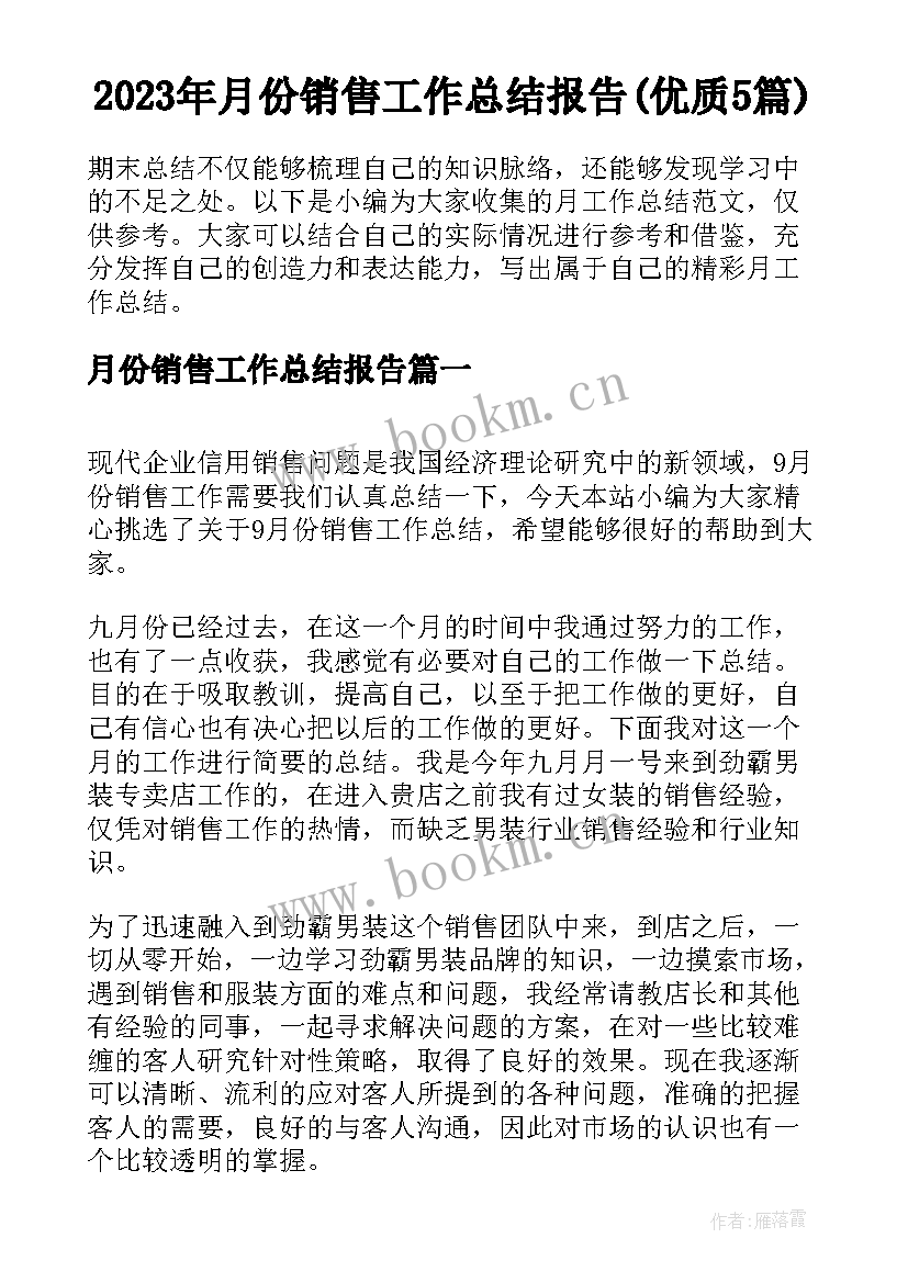 2023年月份销售工作总结报告(优质5篇)