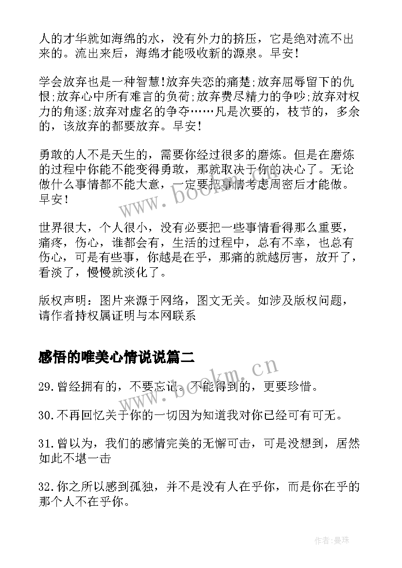 感悟的唯美心情说说 唯美心情说说感悟说说心情句子(优质8篇)