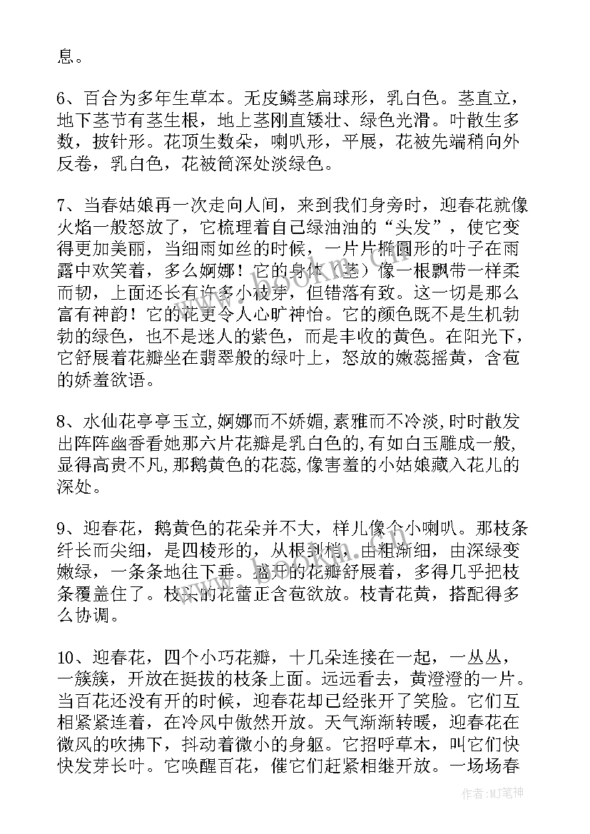 2023年摘抄春天树句子(汇总17篇)