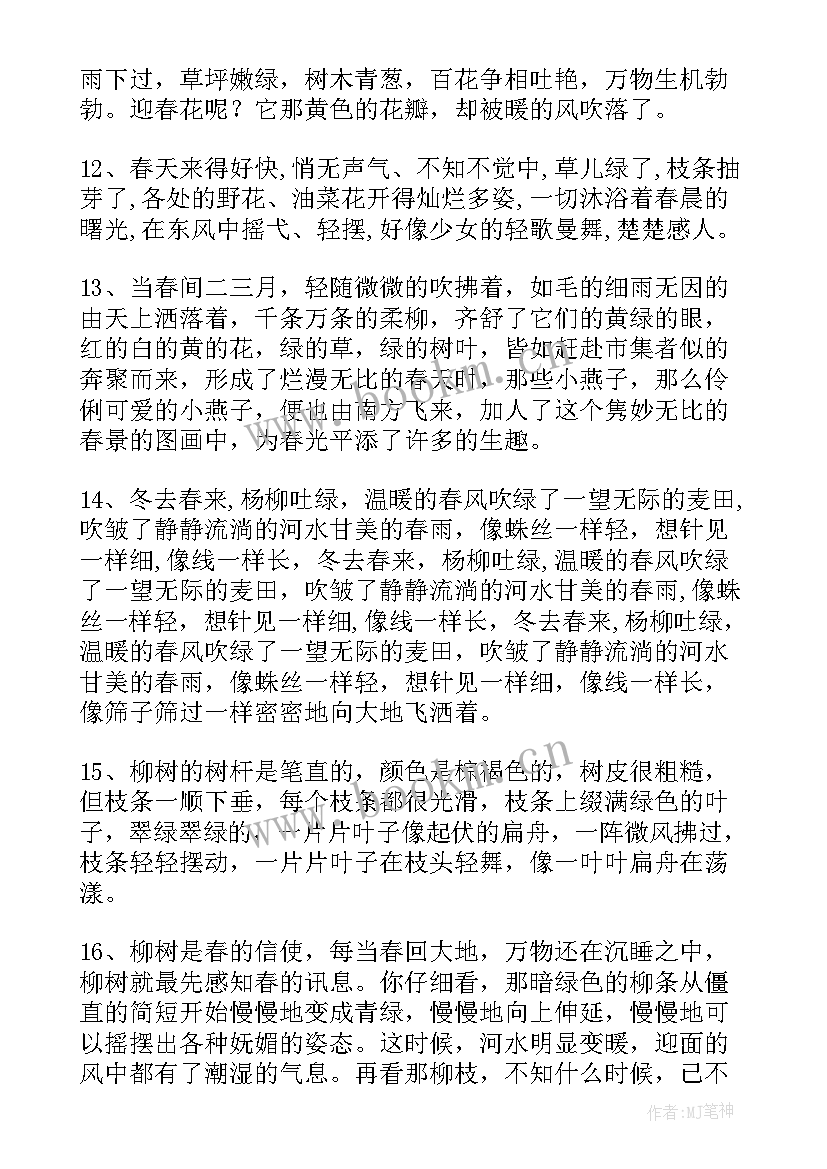 2023年摘抄春天树句子(汇总17篇)