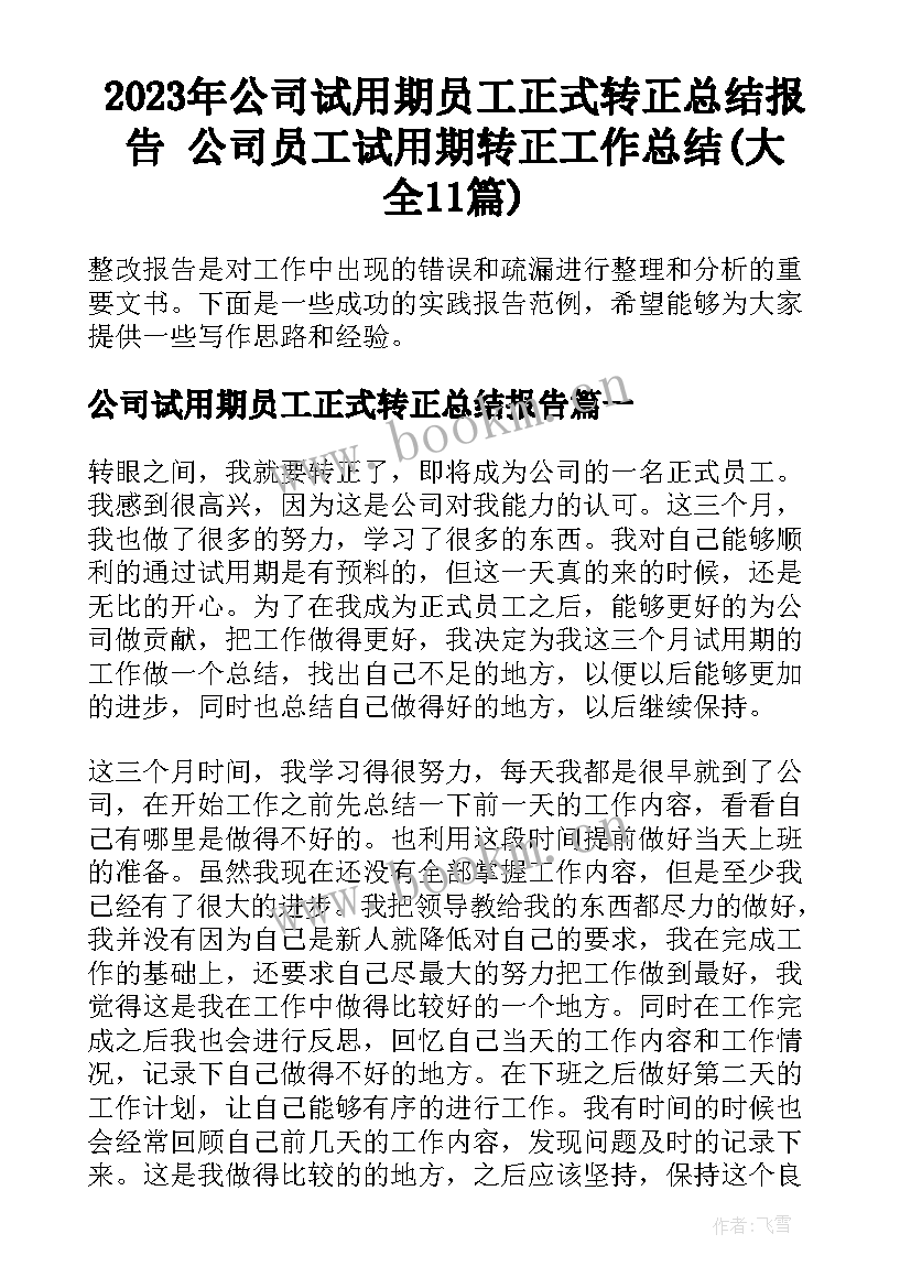 2023年公司试用期员工正式转正总结报告 公司员工试用期转正工作总结(大全11篇)