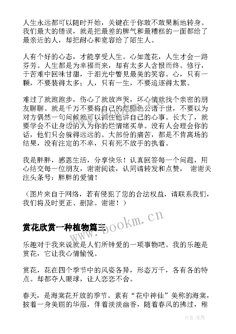 赏花欣赏一种植物 欣赏花的心得体会(实用8篇)