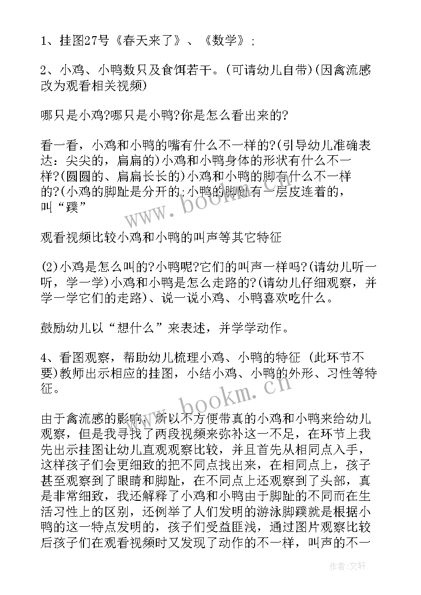 最新小鸭和小鸡小班教案及反思(模板8篇)