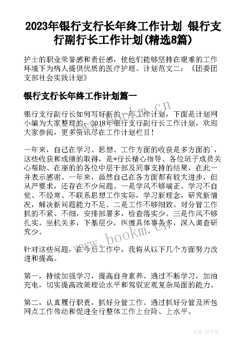 2023年银行支行长年终工作计划 银行支行副行长工作计划(精选8篇)