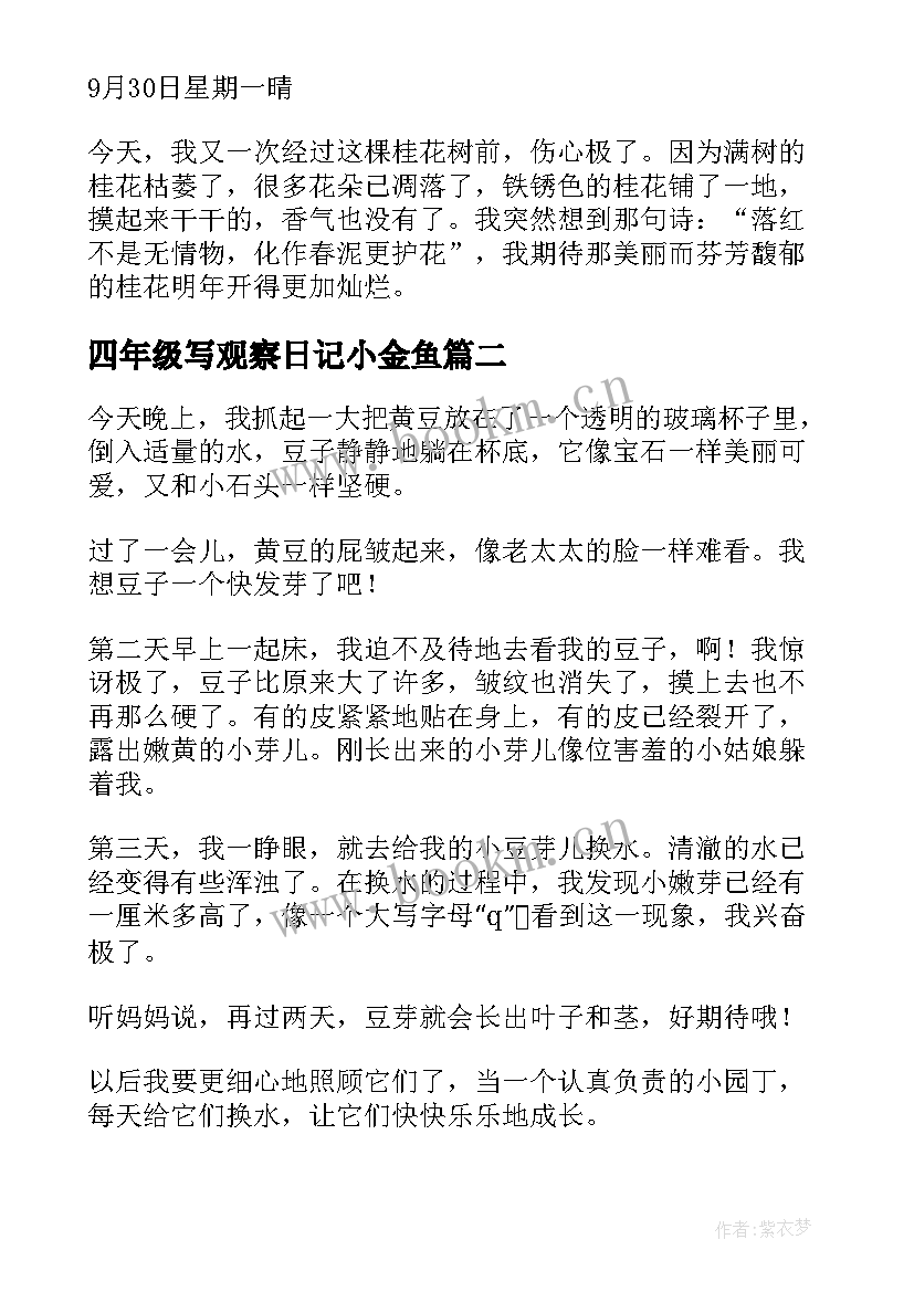 四年级写观察日记小金鱼(优秀9篇)