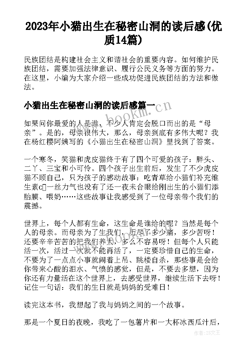 2023年小猫出生在秘密山洞的读后感(优质14篇)