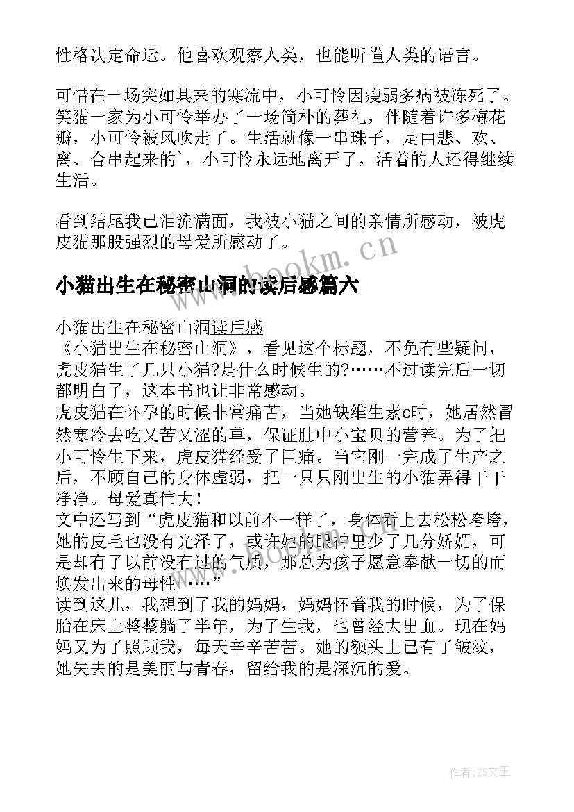 2023年小猫出生在秘密山洞的读后感(优质14篇)