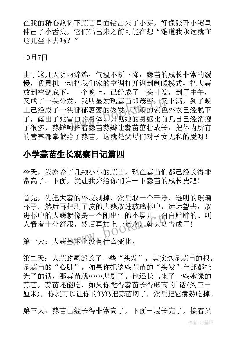 2023年小学蒜苗生长观察日记 蒜苗的生长过程观察日记(实用8篇)