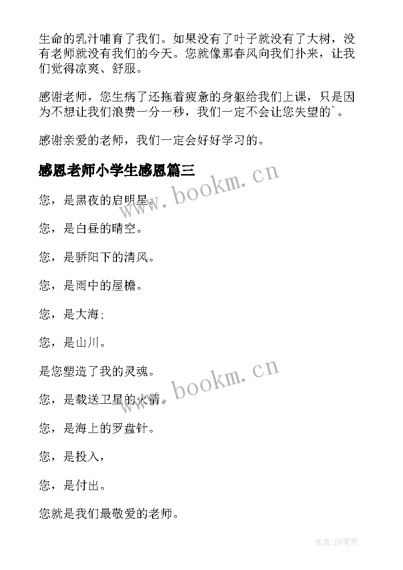 2023年感恩老师小学生感恩(实用10篇)