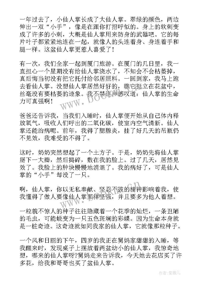 2023年观察日记植物仙人掌 植物仙人掌观察日记(精选8篇)