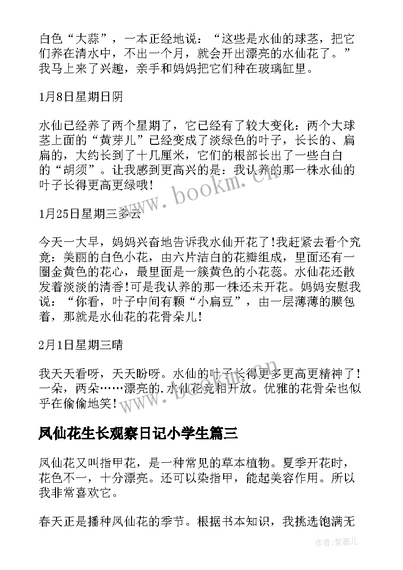 最新凤仙花生长观察日记小学生 水仙花生长观察日记(实用8篇)