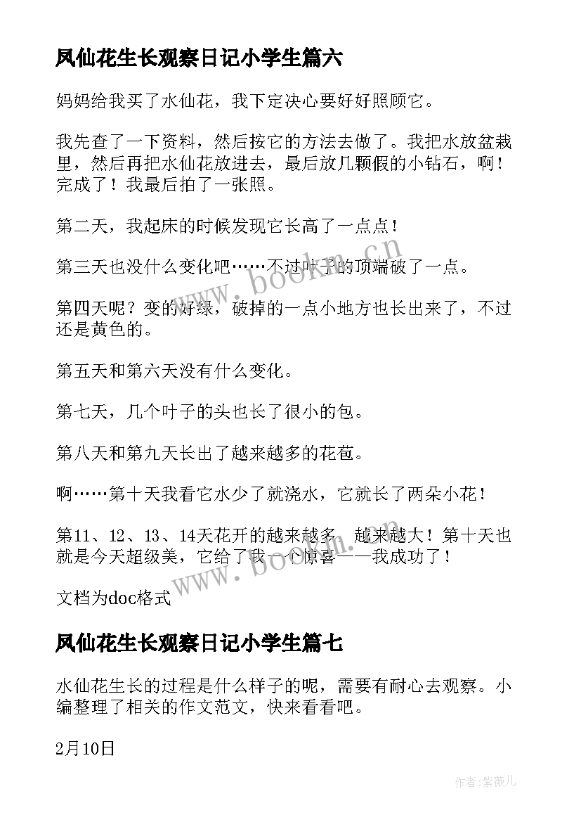 最新凤仙花生长观察日记小学生 水仙花生长观察日记(实用8篇)