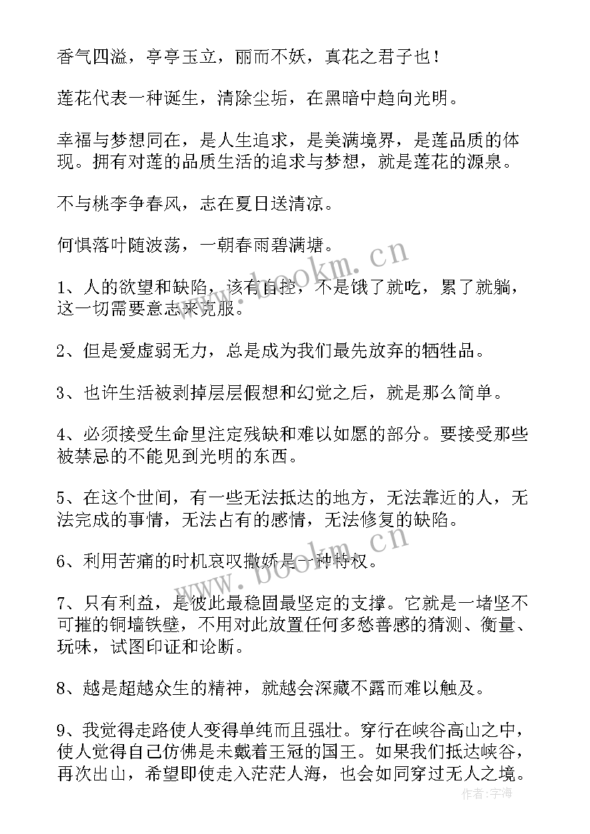 荷花句子经典语录 荷花的经典语录荷花句子经典语录(优秀8篇)