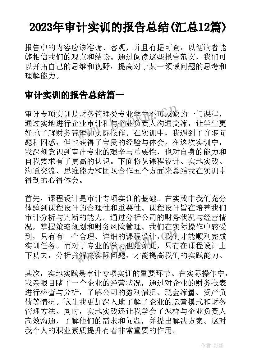 2023年审计实训的报告总结(汇总12篇)