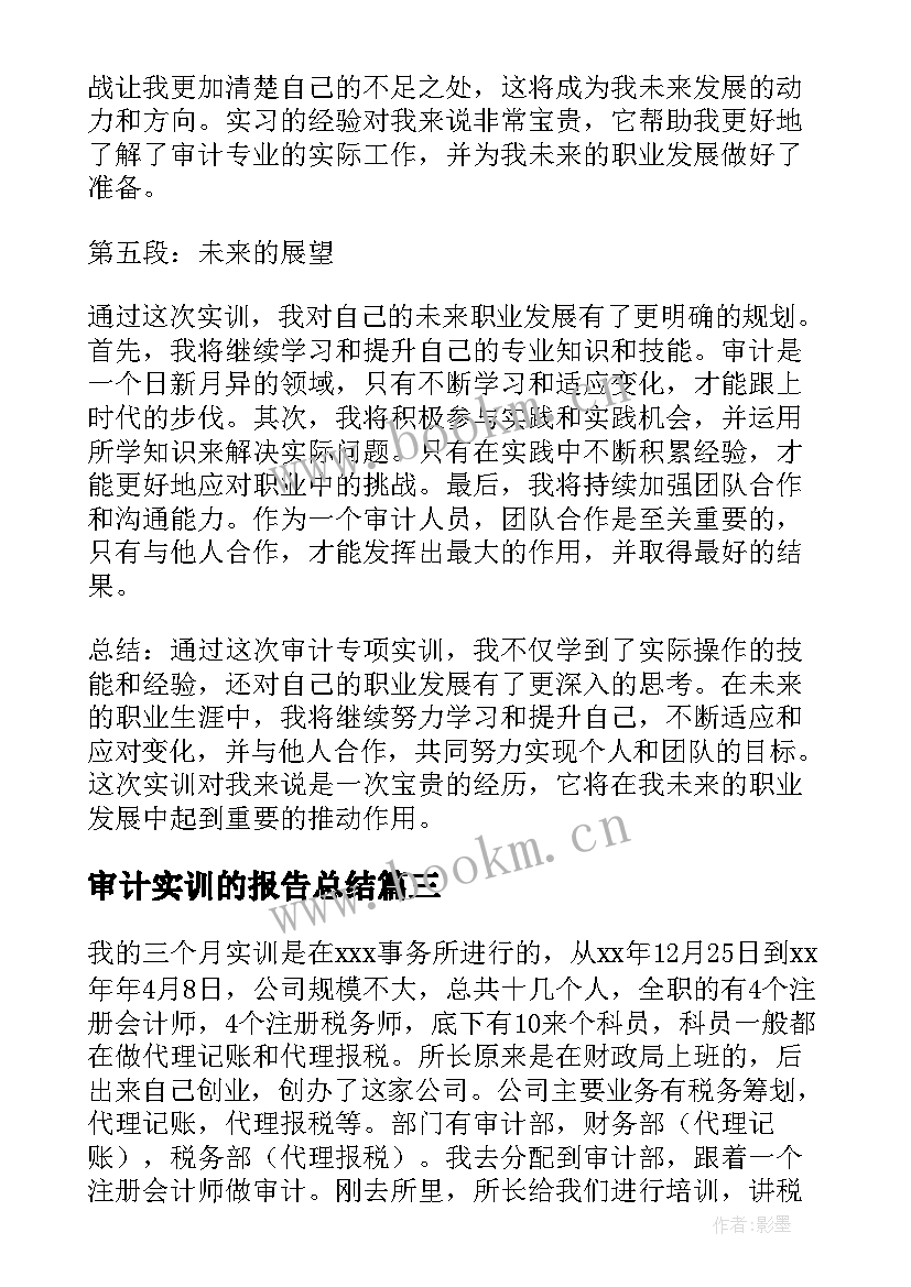 2023年审计实训的报告总结(汇总12篇)