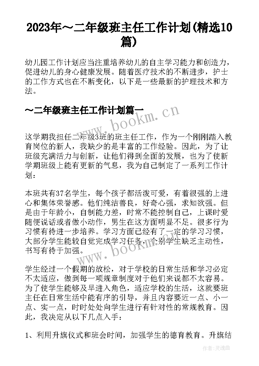 2023年～二年级班主任工作计划(精选10篇)