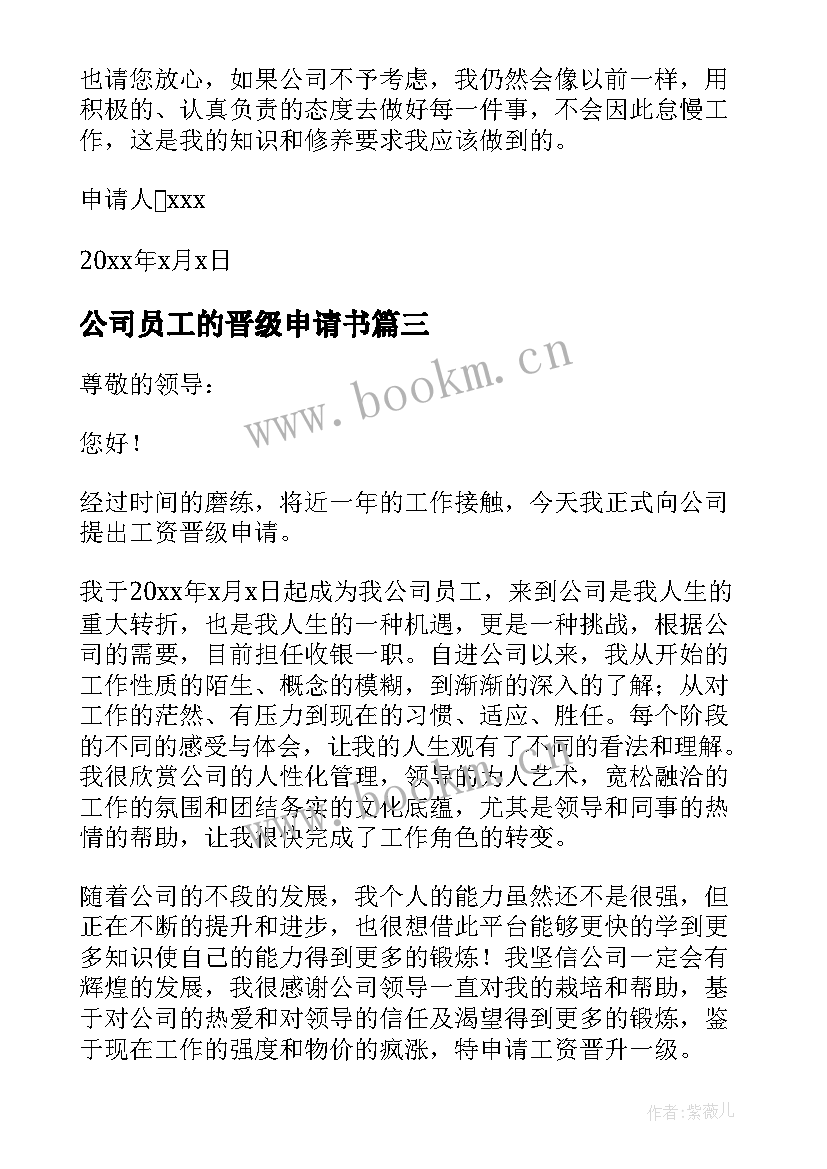 公司员工的晋级申请书(精选8篇)