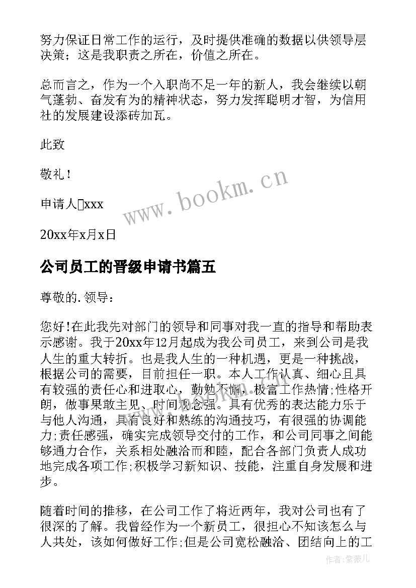 公司员工的晋级申请书(精选8篇)