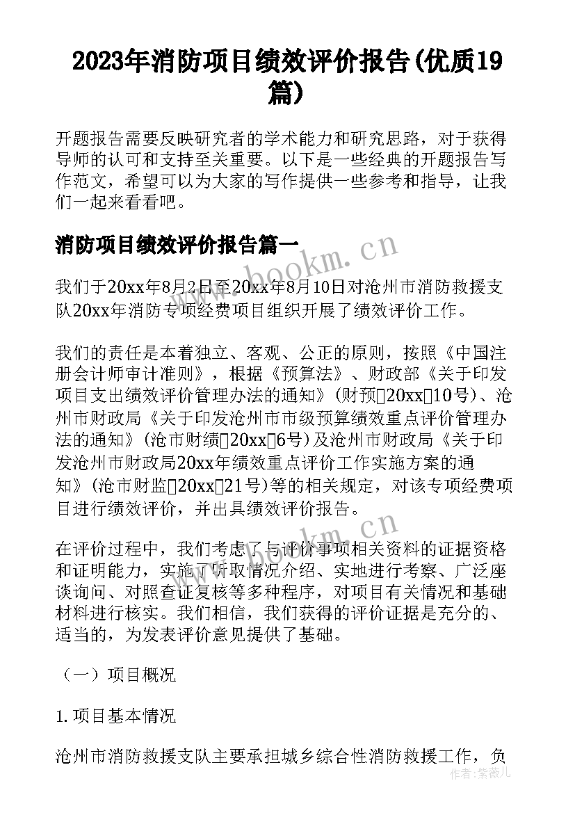 2023年消防项目绩效评价报告(优质19篇)