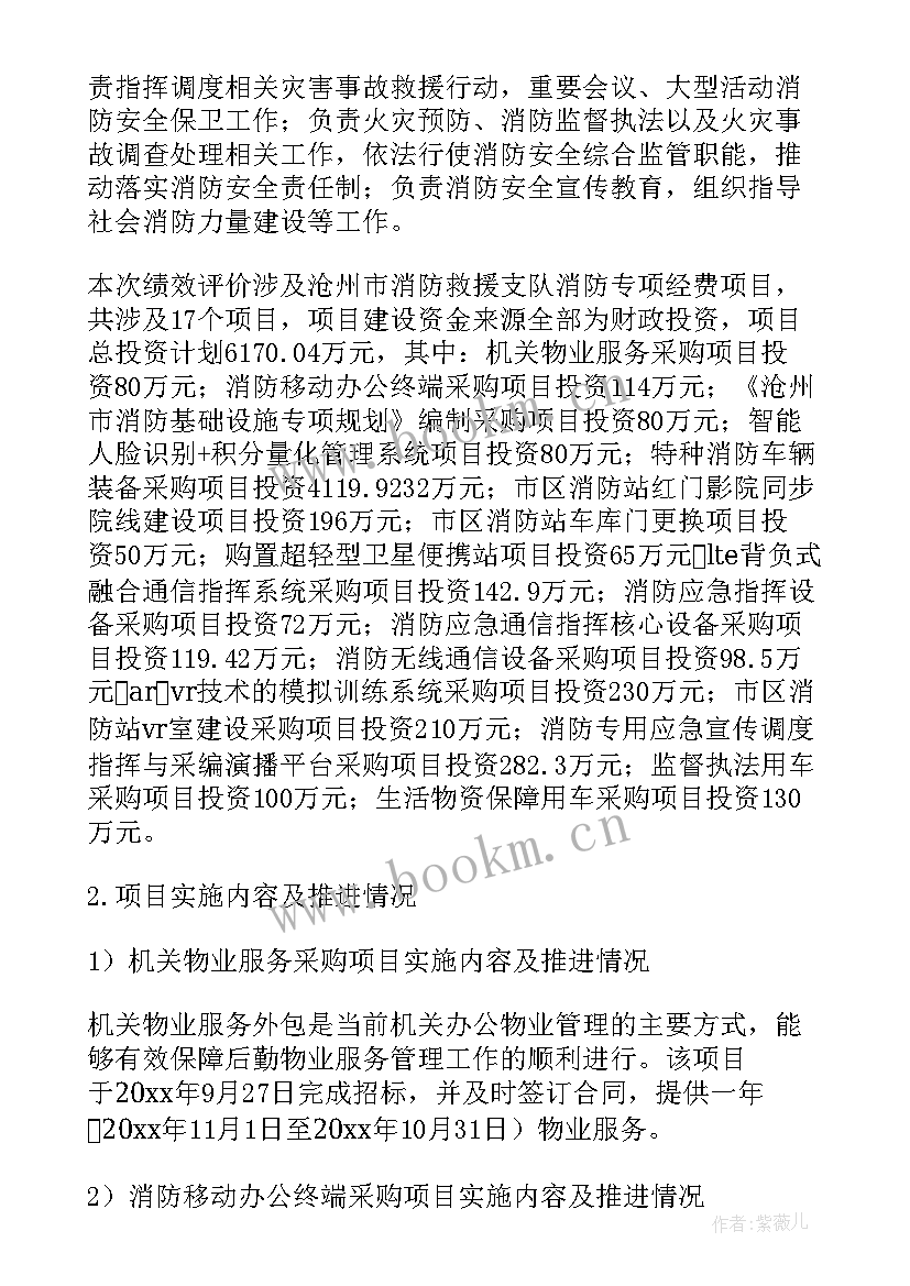 2023年消防项目绩效评价报告(优质19篇)