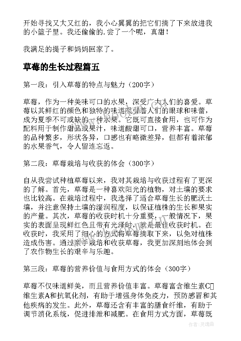 2023年草莓的生长过程 草莓心得体会(大全13篇)