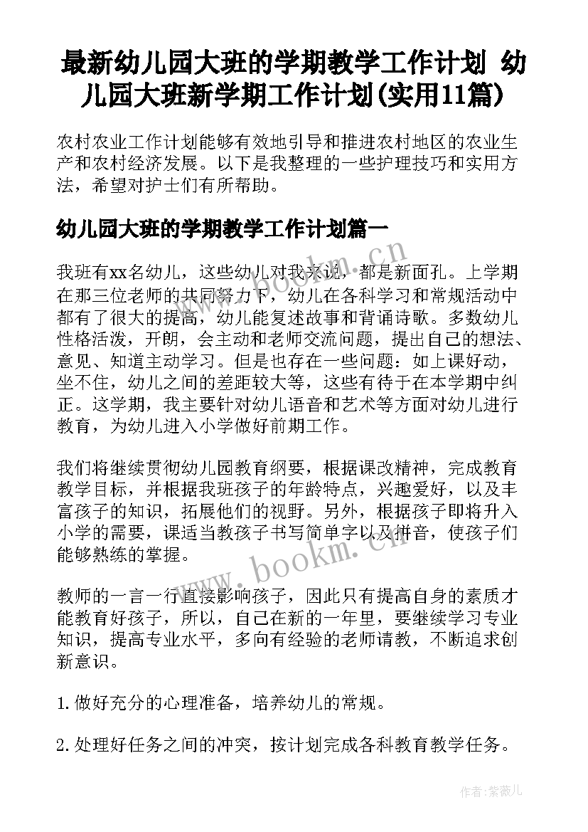 最新幼儿园大班的学期教学工作计划 幼儿园大班新学期工作计划(实用11篇)