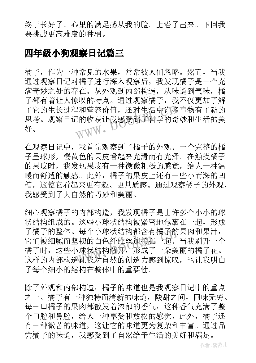 2023年四年级小狗观察日记(精选16篇)