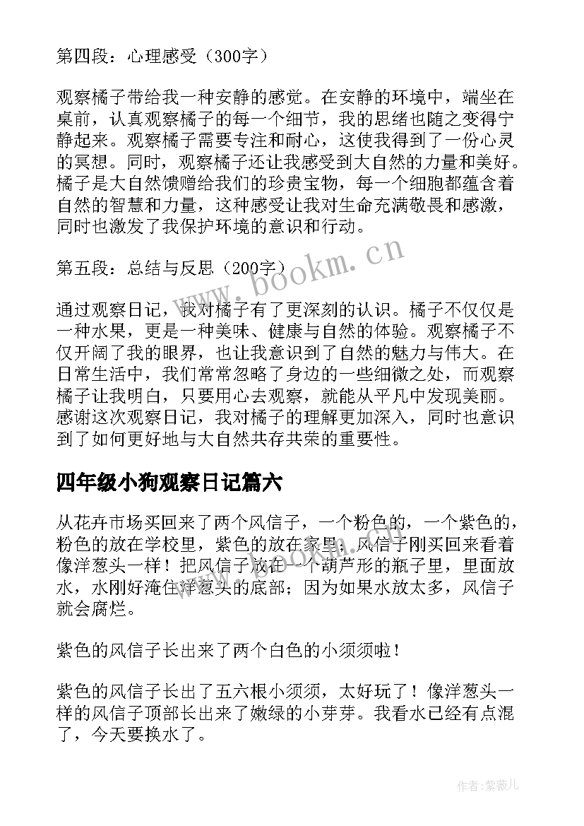 2023年四年级小狗观察日记(精选16篇)