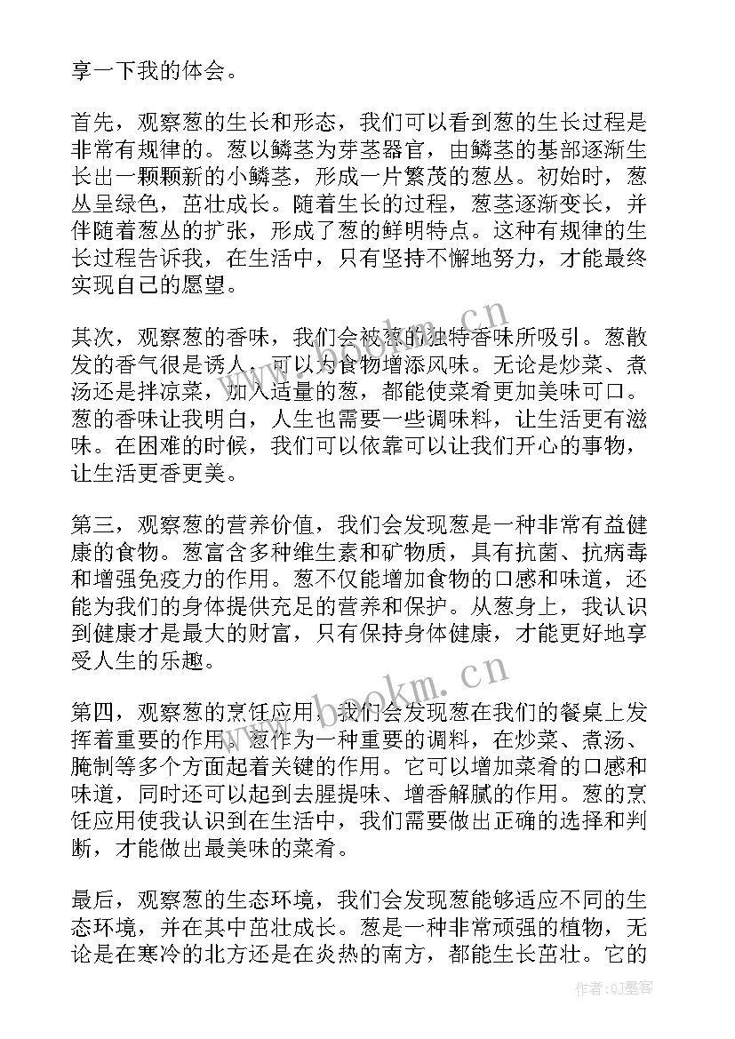 观察鱼三年级四百字 观察下雪的观察日记(模板16篇)