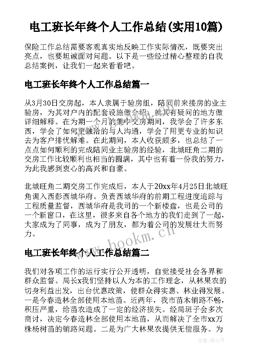 电工班长年终个人工作总结(实用10篇)