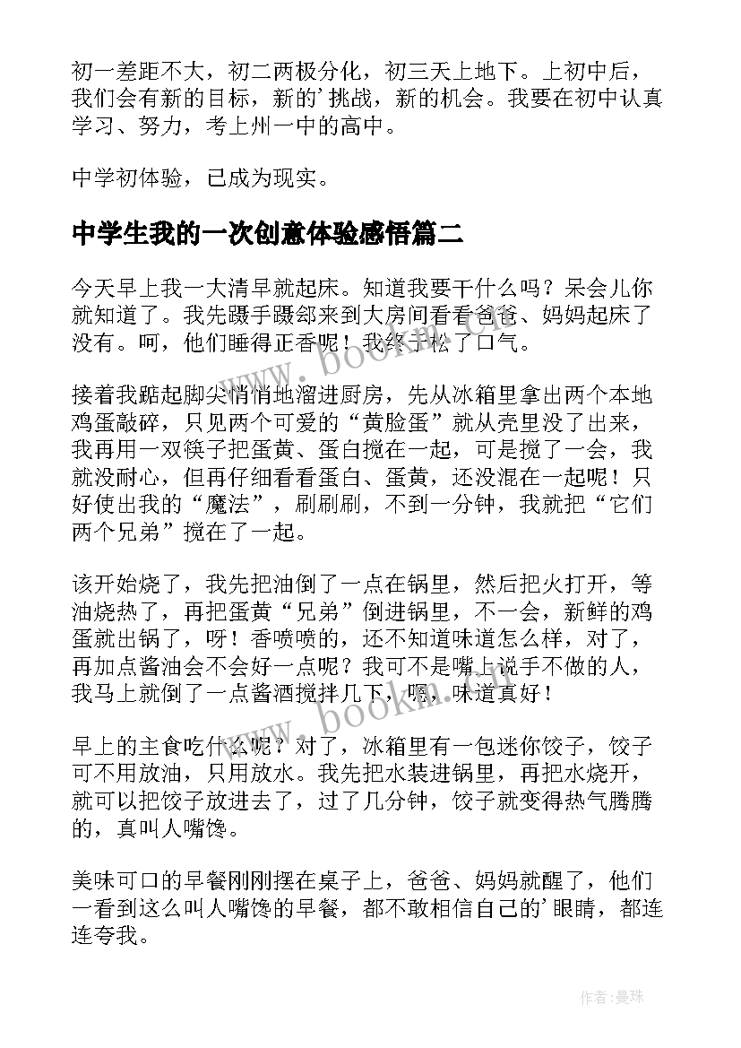 2023年中学生我的一次创意体验感悟 我的一次创意体验(通用15篇)