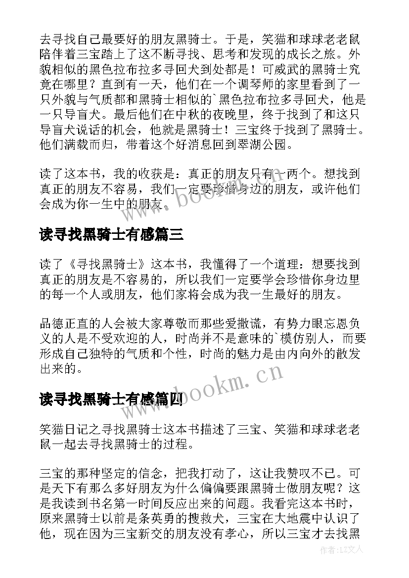 读寻找黑骑士有感 寻找黑骑士读后感(模板8篇)