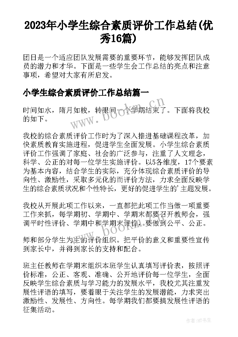 2023年小学生综合素质评价工作总结(优秀16篇)