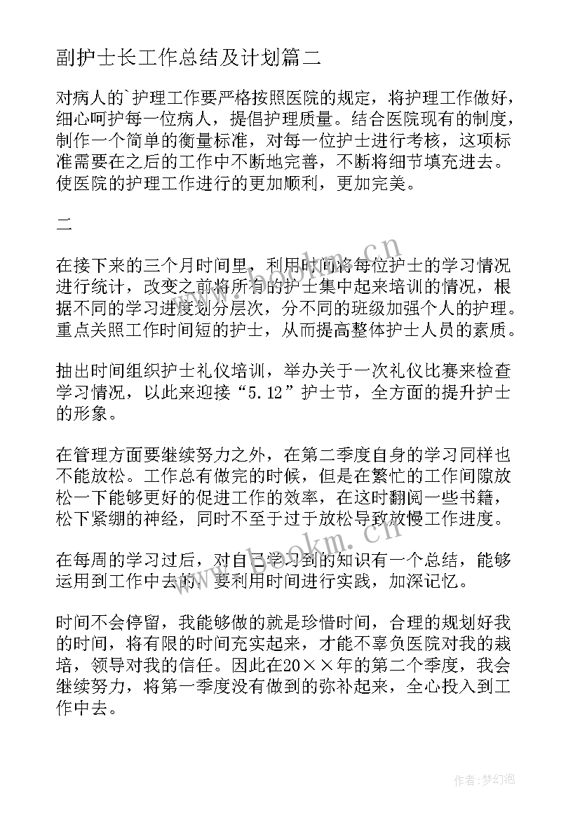 副护士长工作总结及计划(优秀14篇)