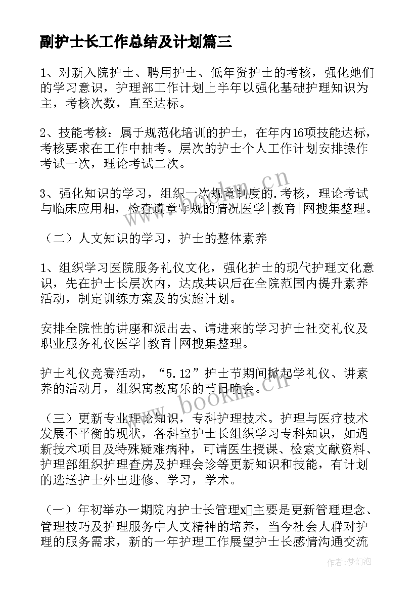 副护士长工作总结及计划(优秀14篇)