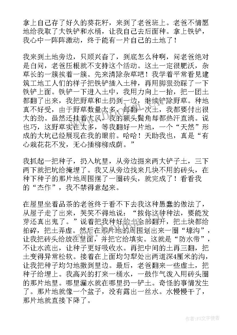 最新向日葵二年级 美术作品向日葵的心得体会(大全14篇)