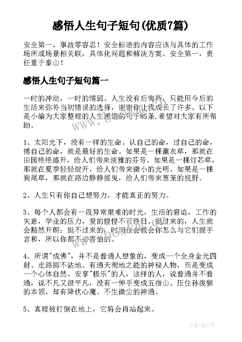 感悟人生句子短句(优质7篇)