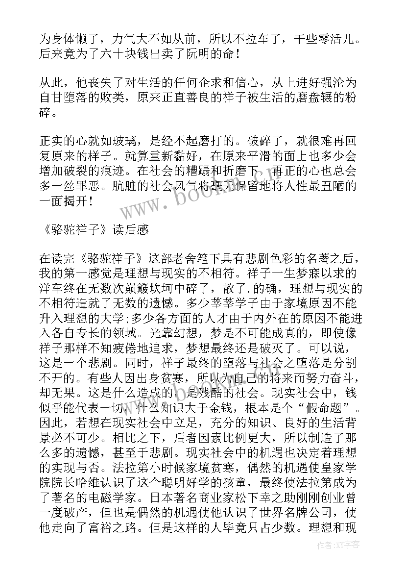 骆驼祥子读后感 骆驼祥子读后感骆驼祥子(优秀8篇)