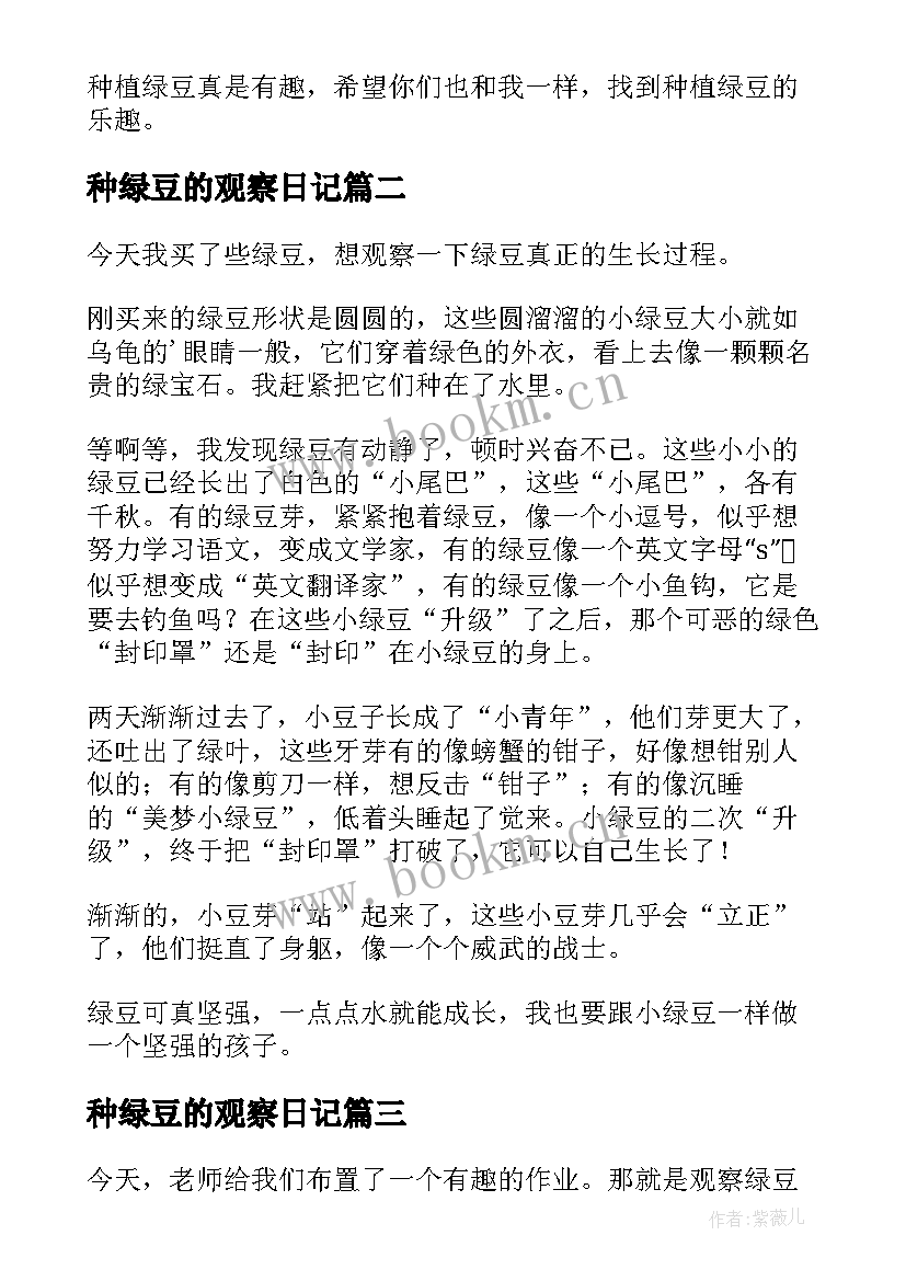 2023年种绿豆的观察日记(优质10篇)