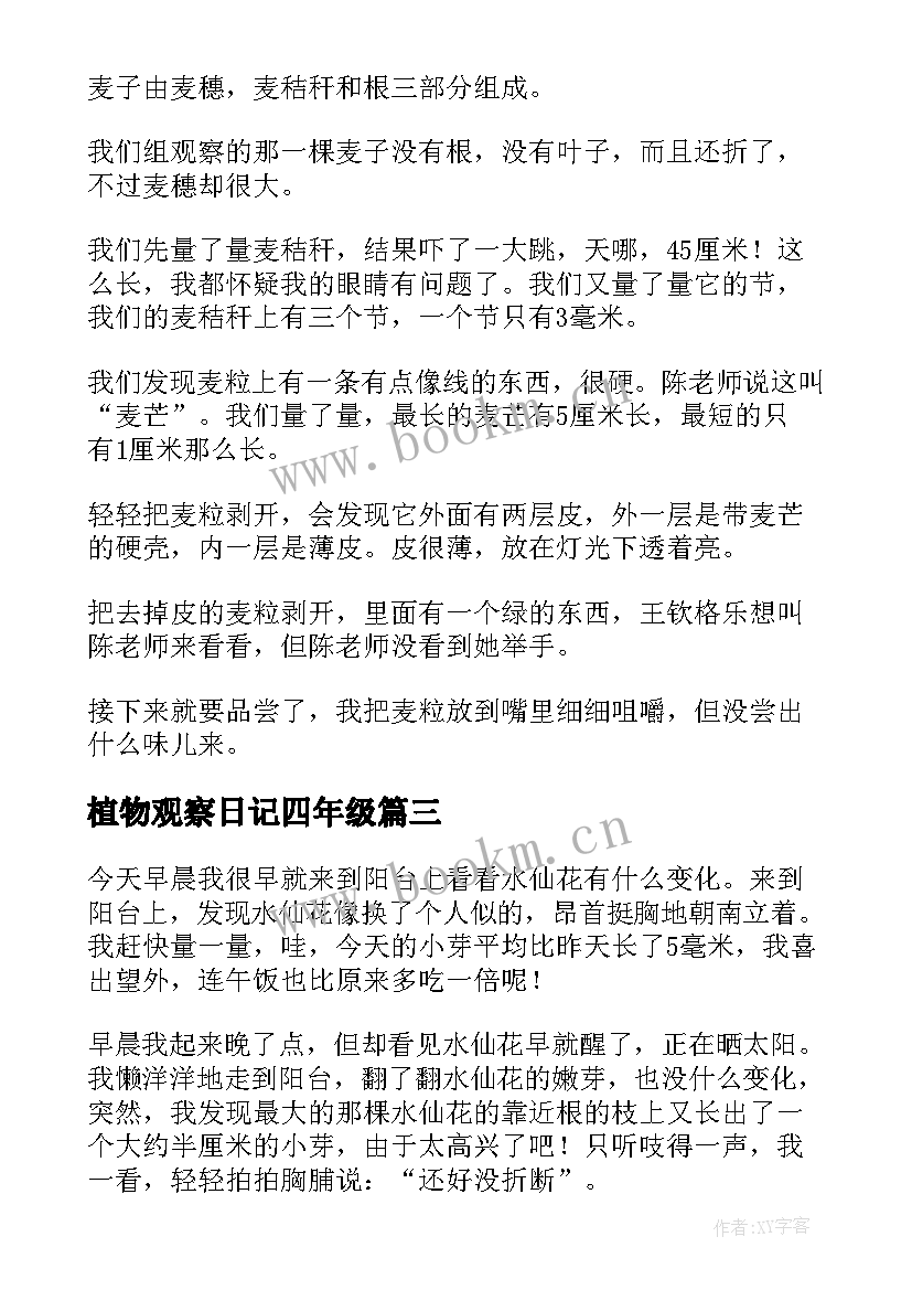 植物观察日记四年级 四年级植物观察日记(汇总17篇)