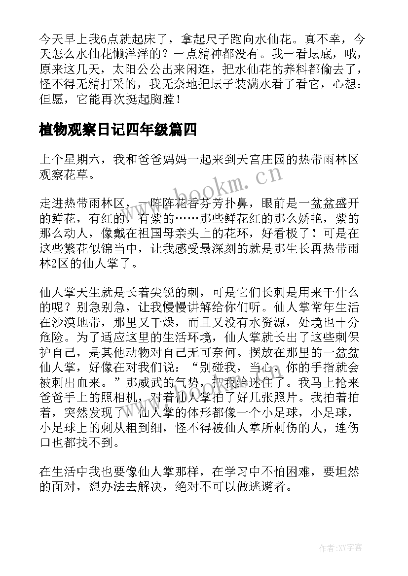 植物观察日记四年级 四年级植物观察日记(汇总17篇)